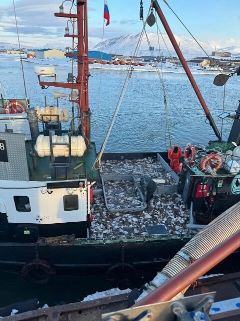    Когда в 2021 году компании-конкуренты демонстрировали рекордные уловы и огромную прибыль, у «Красного труженика» денег едва хватало на зарплаты. Фото: Из архива