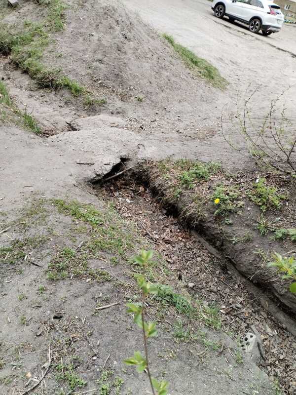    Фото: Амуржилинспекция