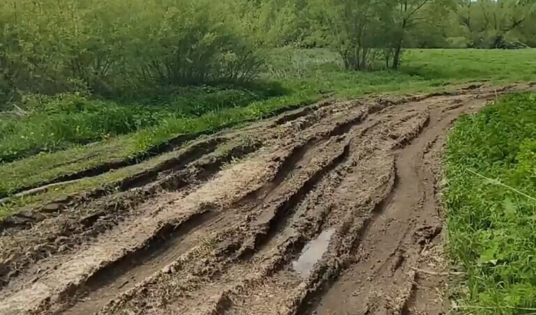    Скриншот видео