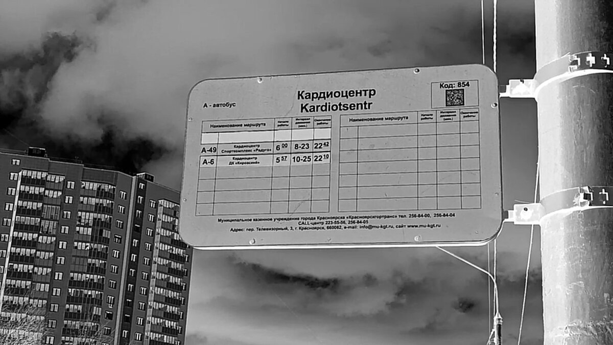 Автобусы №49 и №6 (по состоянию на 2024 год)