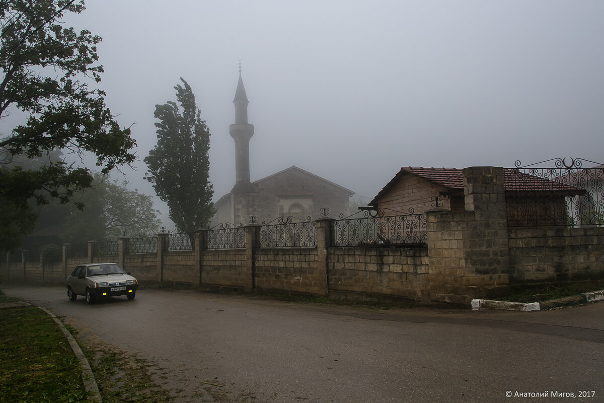 Муравьи, комары, безопасность в Крыму, старые дома и другие вопросы  читателей | Дневник отчаянных пенсионеров | Дзен