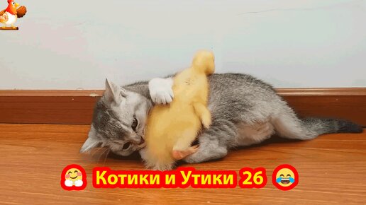 Котята и Утята выпуск 26