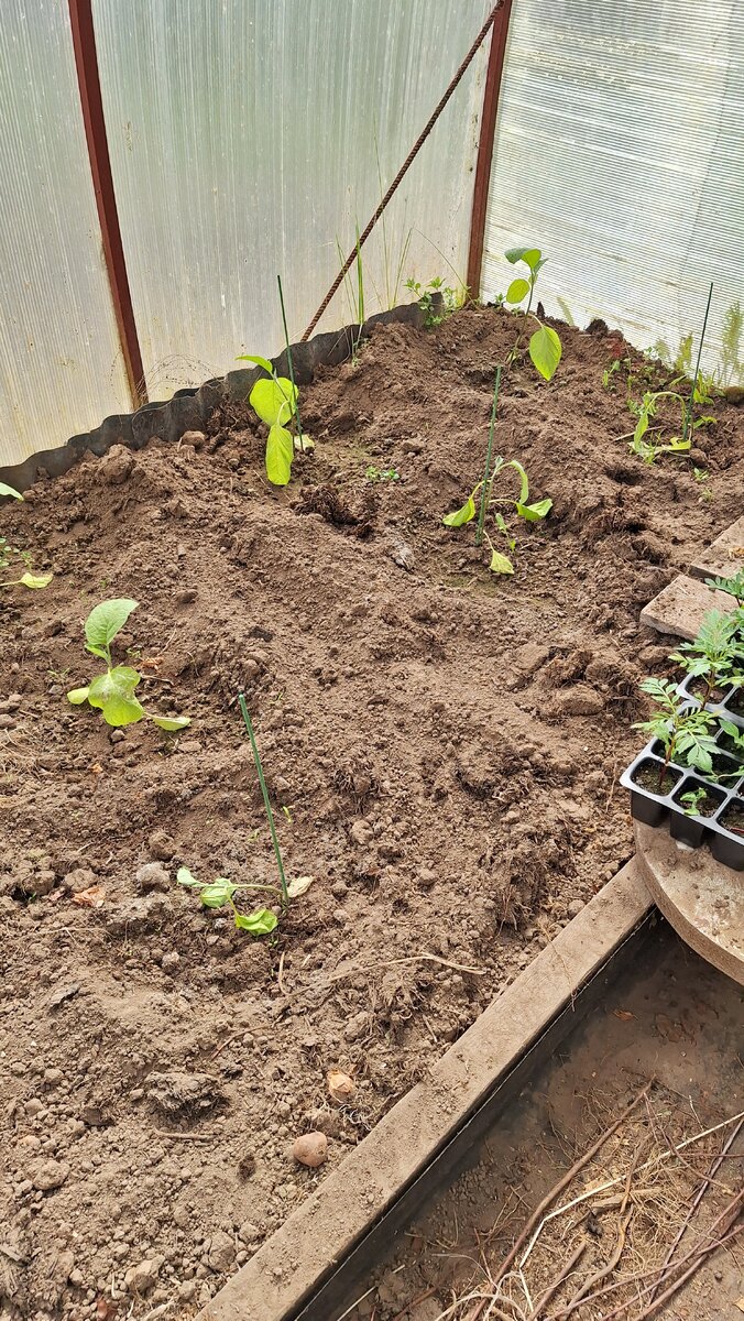 Фото автора. Процесс уныния в самом разгаре.