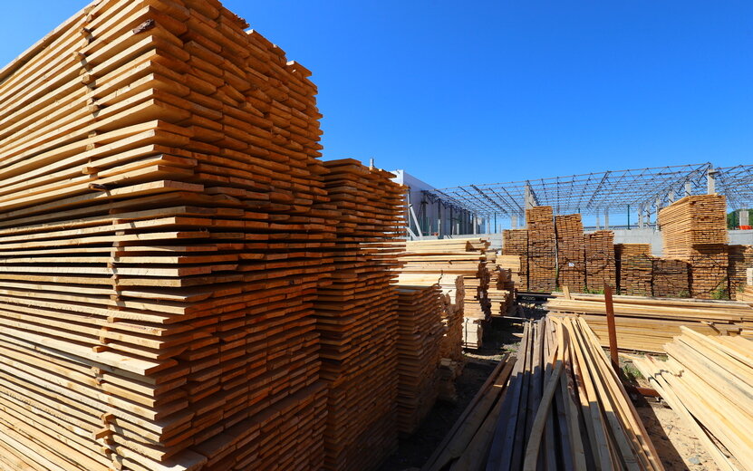  Доля экспорта древесины – 13,4%. Фото: Амир Закиров