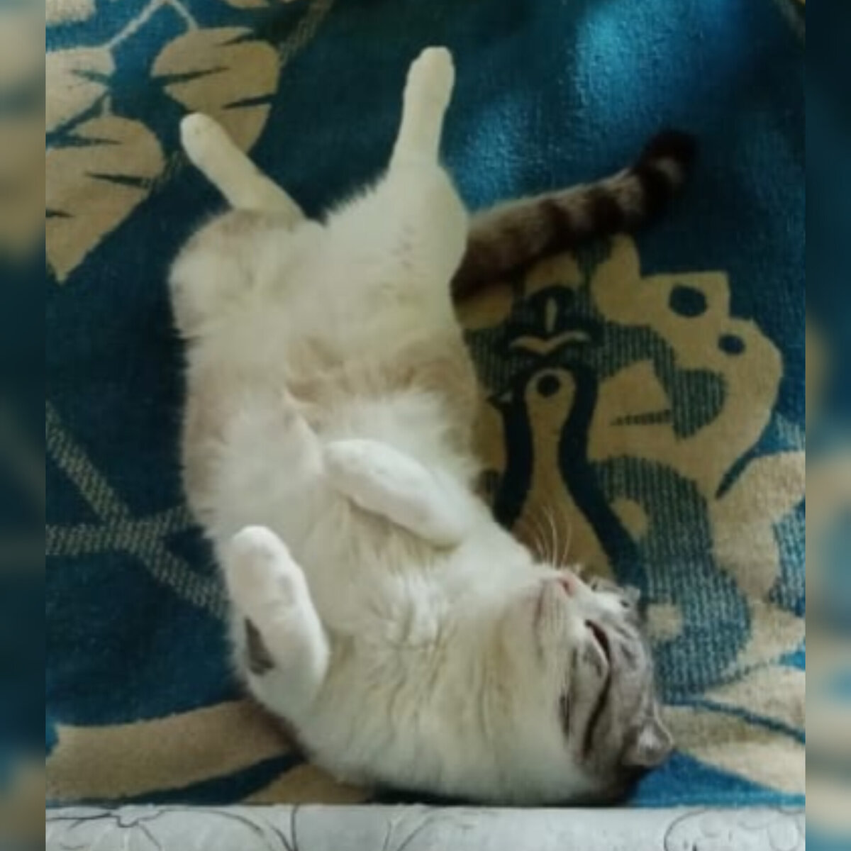 Самое любимое положение.