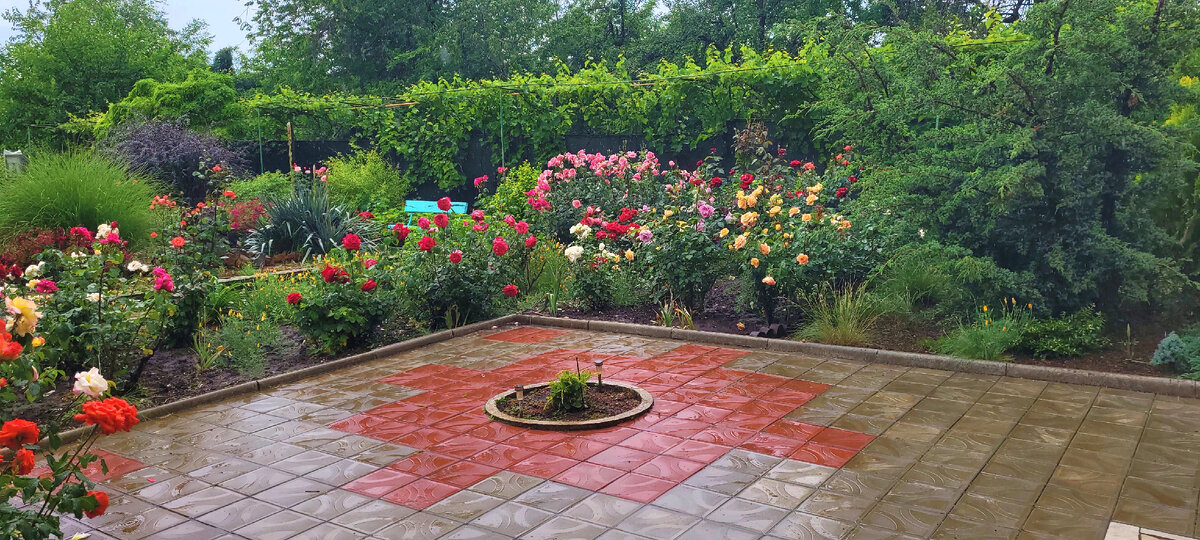 Ранее утро сегодня, дождь все еще идет