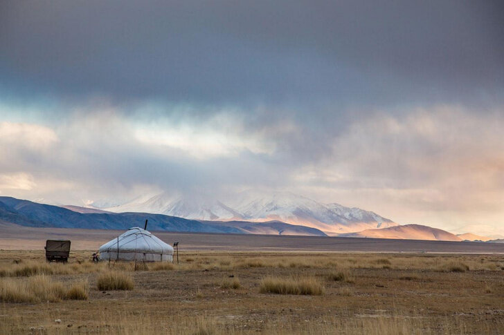 Источник: Shutterstock / Fotodom.ru