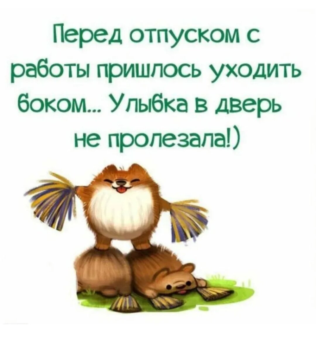 Картинка взята из интернета 