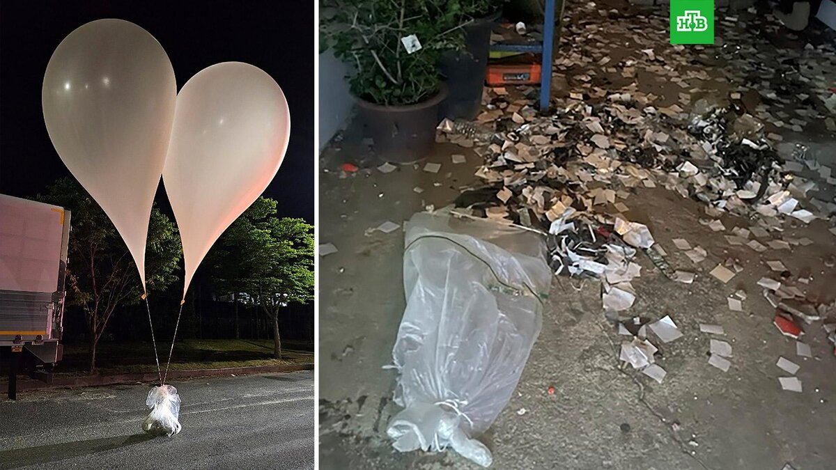    Фото: Associated Press © 2024