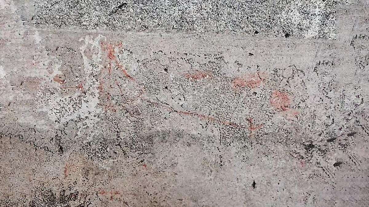    pompeii_parco_archeologico / Instagram (входит в корпорацию Meta, признана экстремистской и запрещена в России)