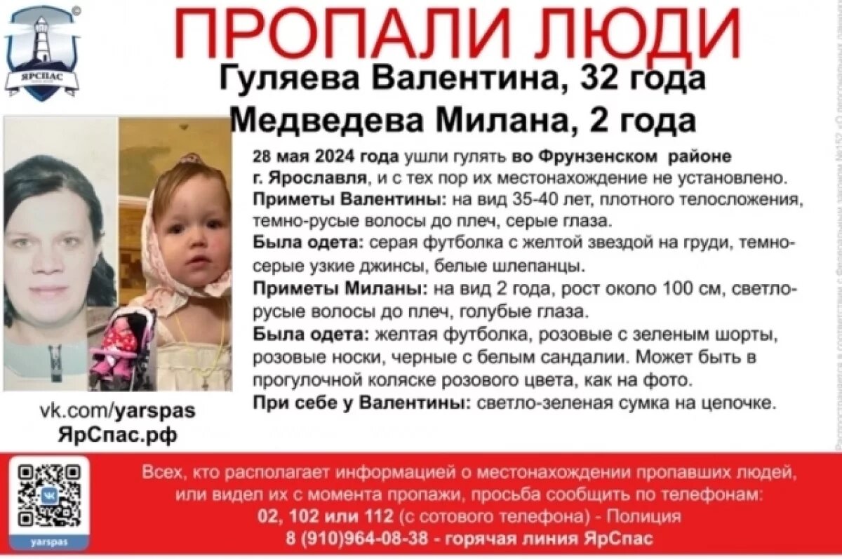 В Ярославле женщина похитила 2-летнюю девочку с детской площадки | АиФ –  Ярославль | Дзен