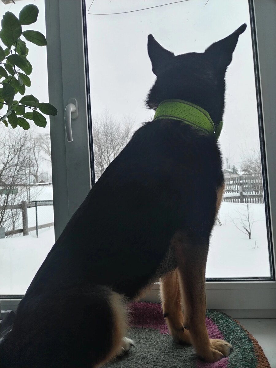 Красавица - рыбачка Мери выглядывает папу )))