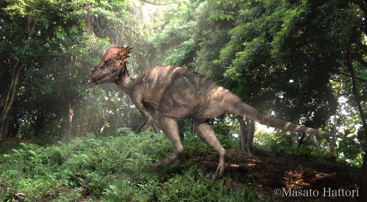 Например такие