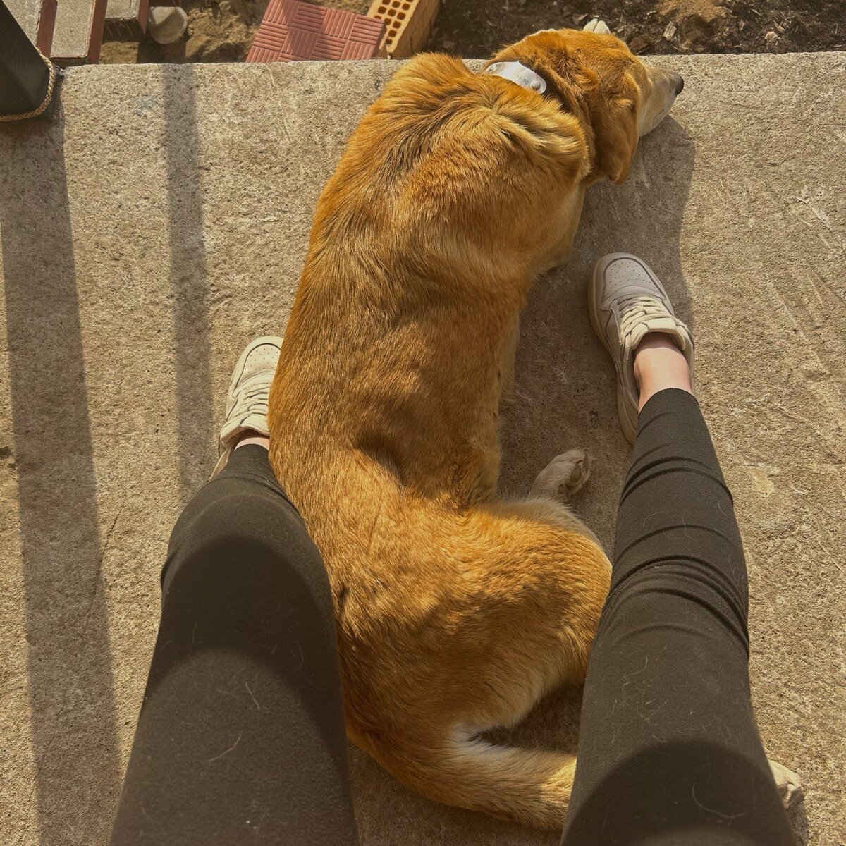 Поддержать автора: 2200 7010 2855 6006 