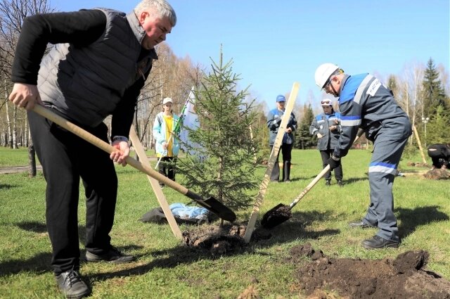    Закладка новой аллеи. Свои деревца посадили Владимир Мельниченко (справа) и глава Междуреченска Сергей Перепилищенко. Фото: ПАО «РАСПАДСКАЯ»/ Роман Валяев