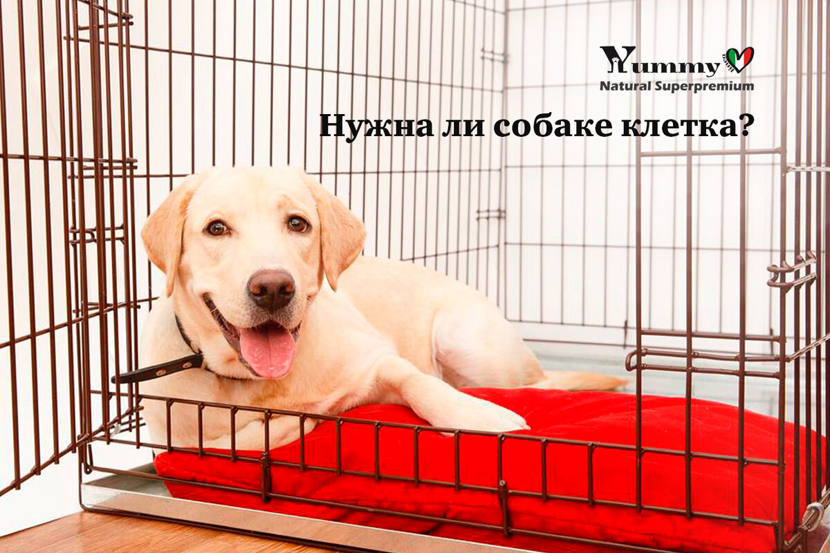 Сухой корм для собак Yummy Linea