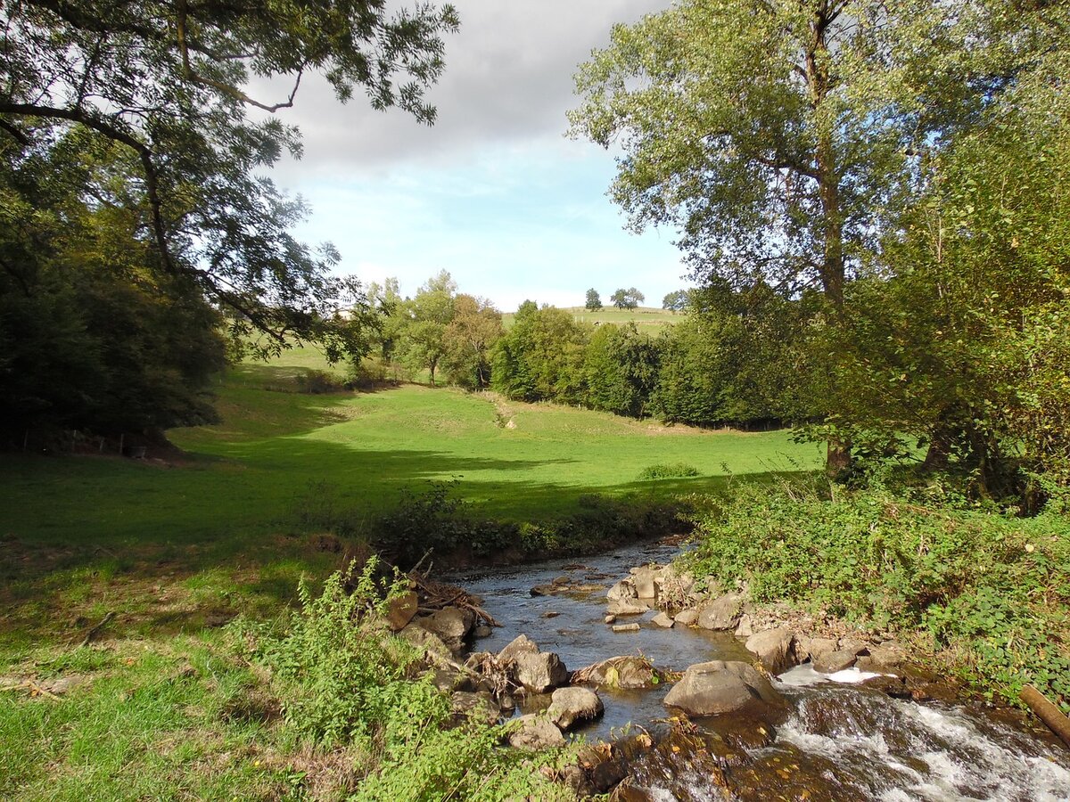 Фото из интернета.