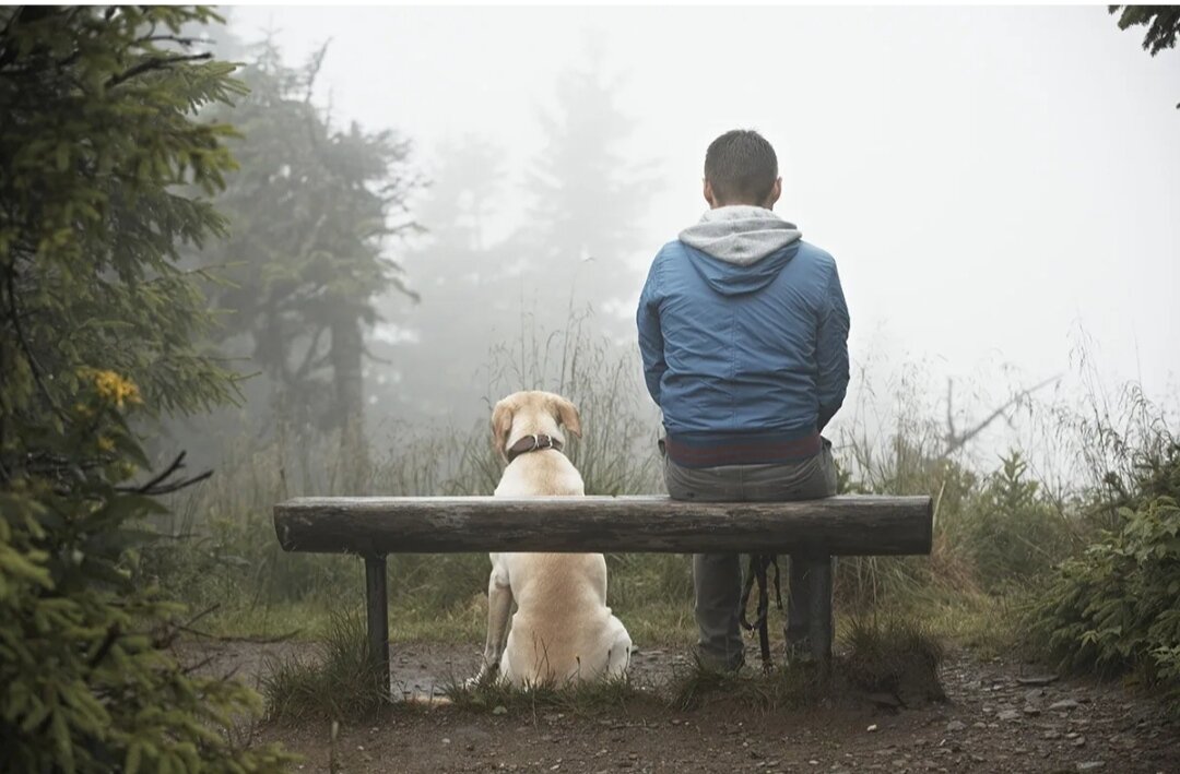 Фото из интернета