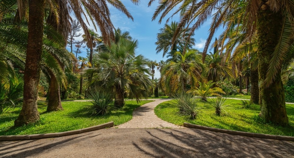 Сколько стоит поездка в Сочи весной-летом 2024 года