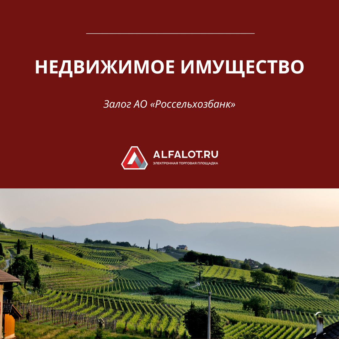 Продажа недвижимого имущества в Республике Татарстан | ЭТП ALFALOT | Дзен