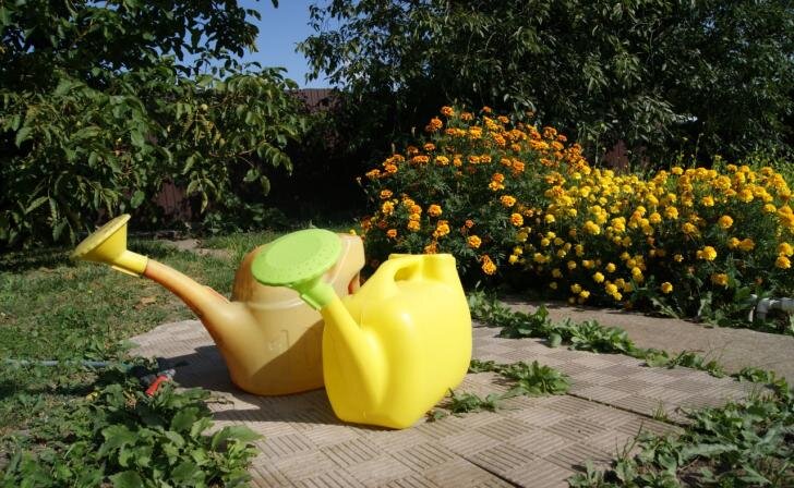    фото Курские известия