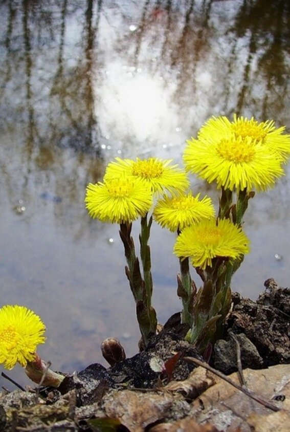 Фото из интернета 