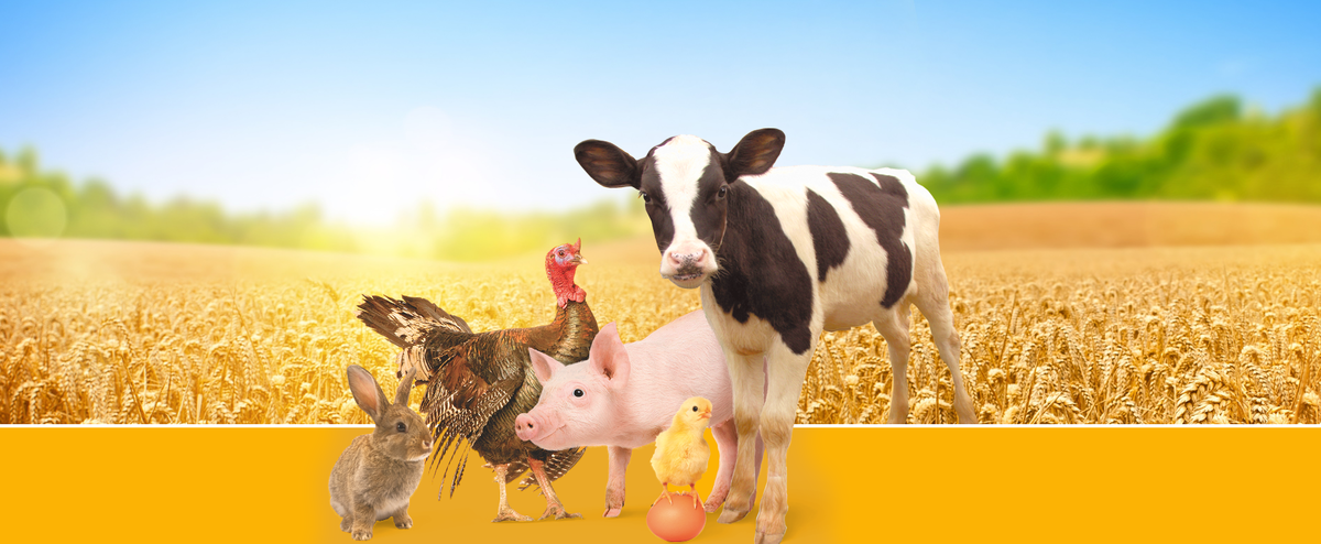 Ставьте лайк, если вам понравилась публикация. Подписывайтесь на канал и будьте в курсе отраслевых событий.