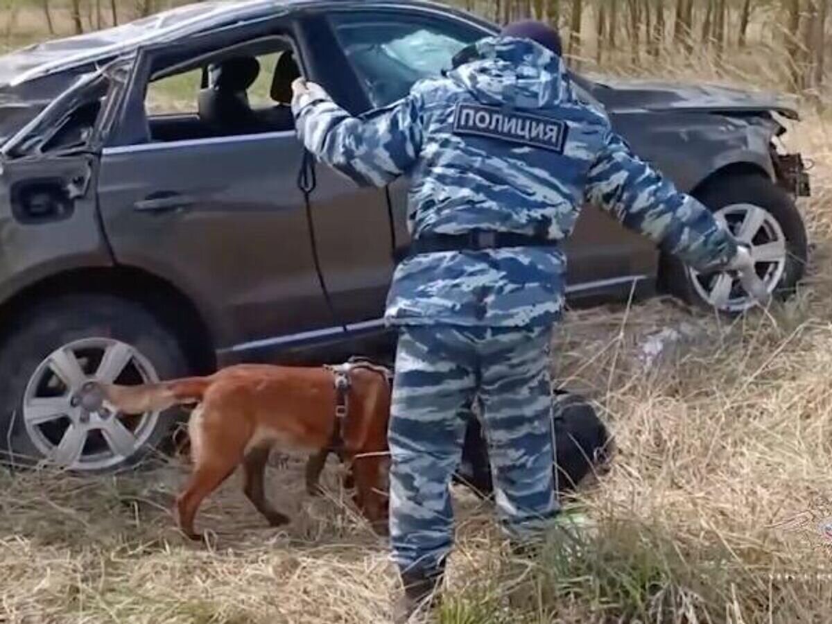    Автомобиль, перевозивший 50 кг наркотиков, улетел в кювет в Чувашии© Ирина Волк/Telegram