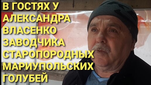 В гостях у Александра Власенко, заводчика старопородных мариупольских голубей.