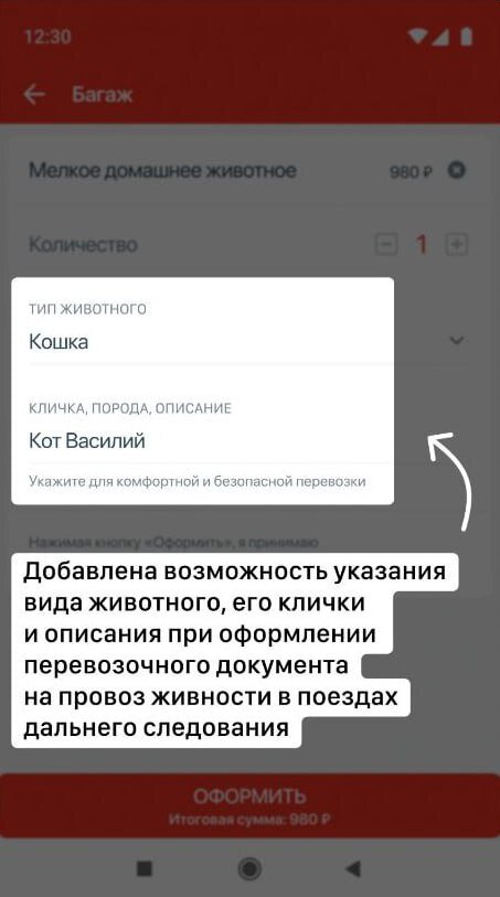     Иллюстрация: РЖД