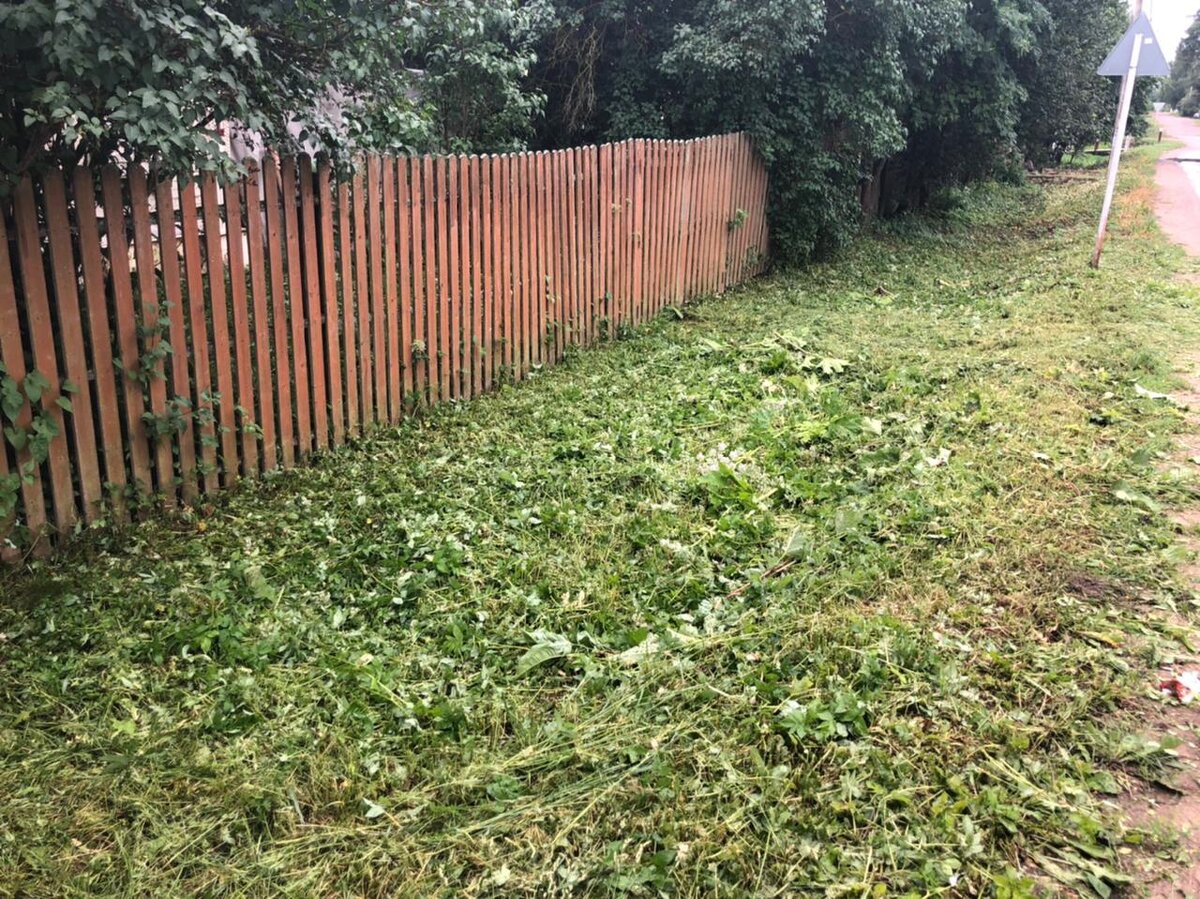 Травы было выше половина забора
