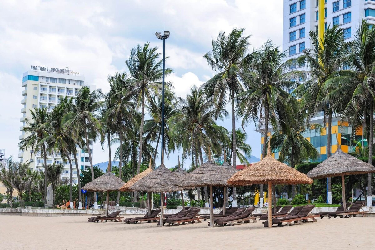 Фото: Phuong Nguyen Duy, https://ru.123rf.com/profile_langdu8x