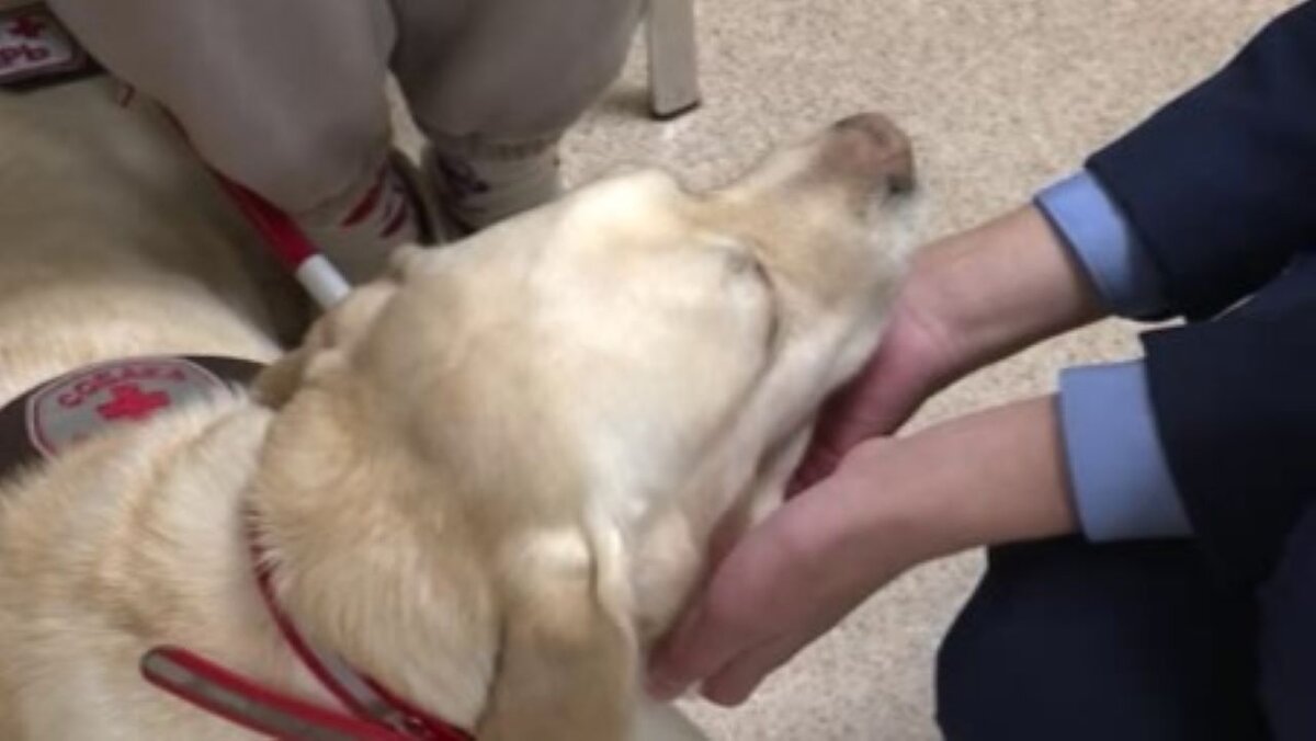    В Курске прошла лекция "Друг особого назначения"