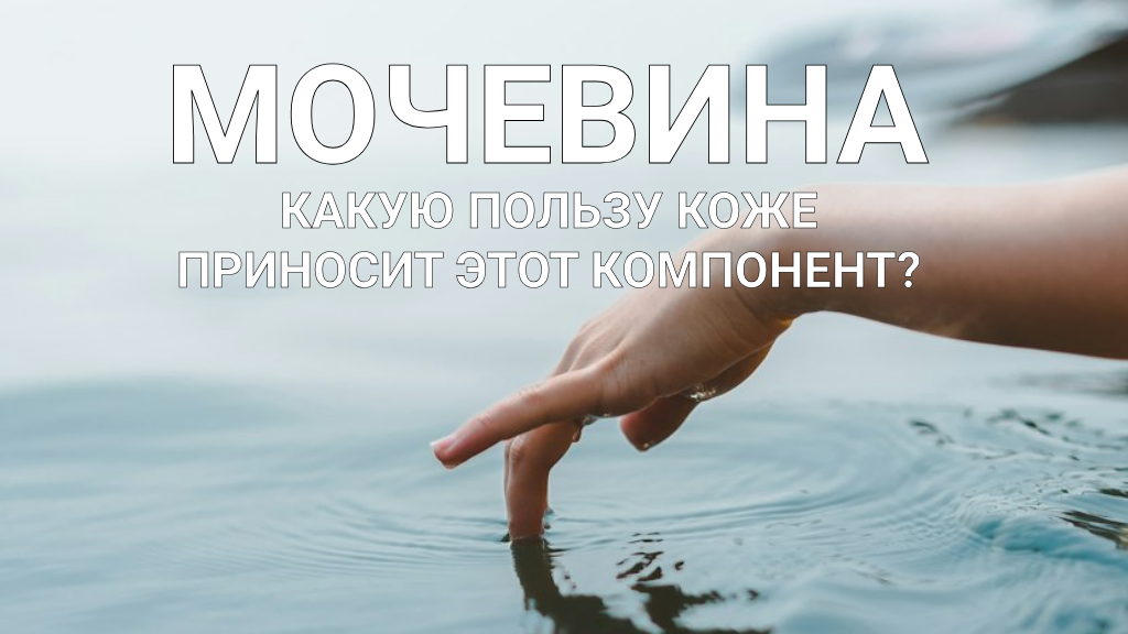 Название компонента звучит не очень, однако в косметике и косметологии - весьма уважаемый и полезный ингредиент