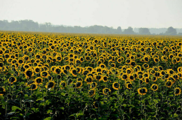   Игорь Самохвалов/ПГ