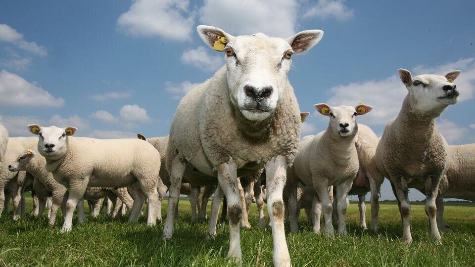 Фото: © Global Look Press/tk2/ZUMAPRESS.com