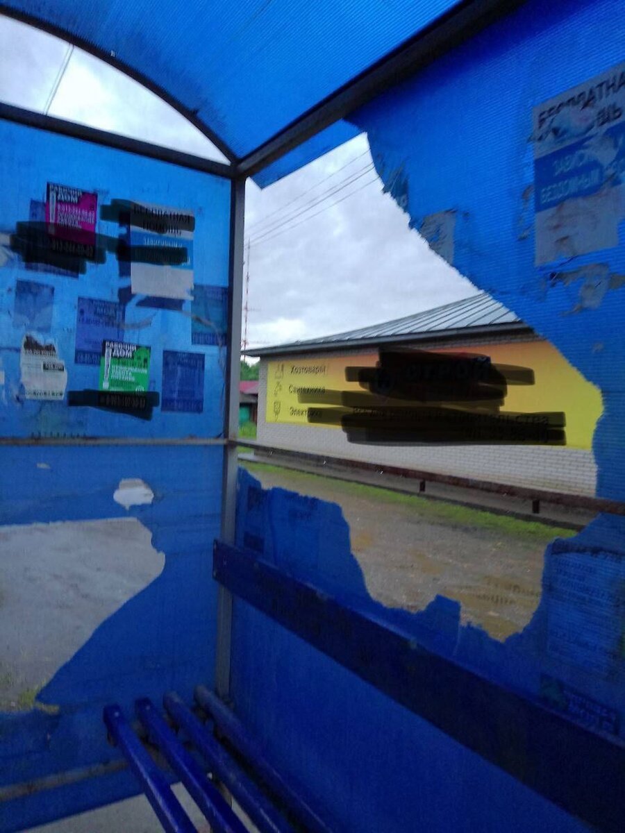    Остановка в Бийске. Источник: Telegram-канал "ЧП-Бийск"