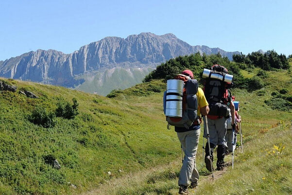 Фото пресс-службы администрации Краснодарского края