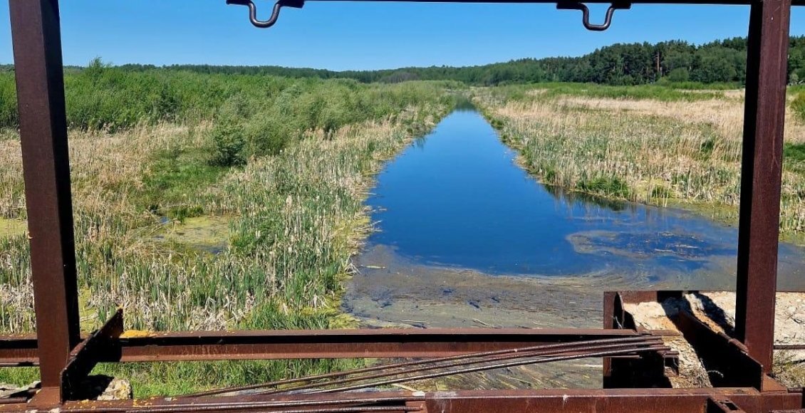    Фото: пресс-служба Минприроды Ульяновской области