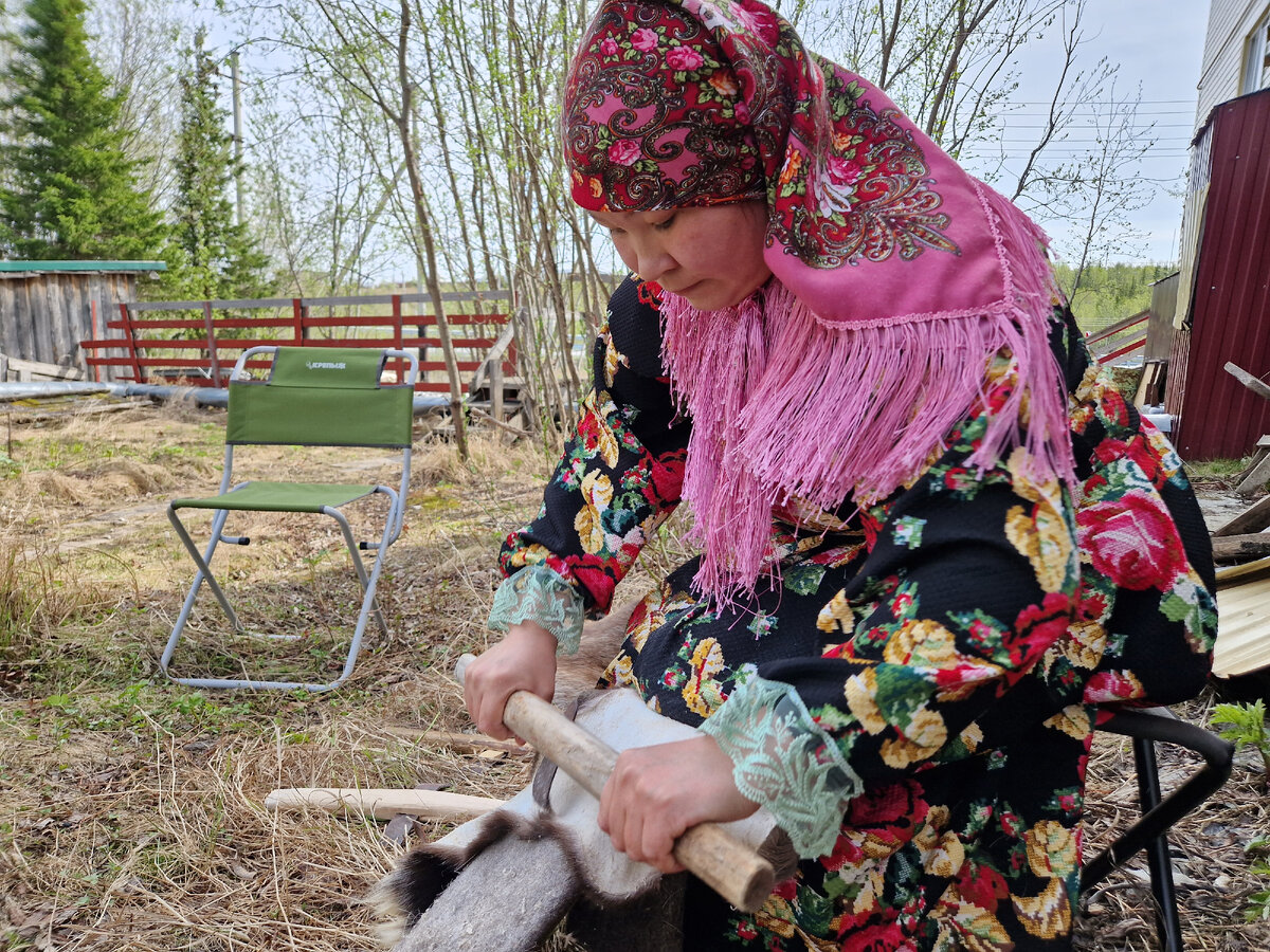 Процесс соскабливания мездры