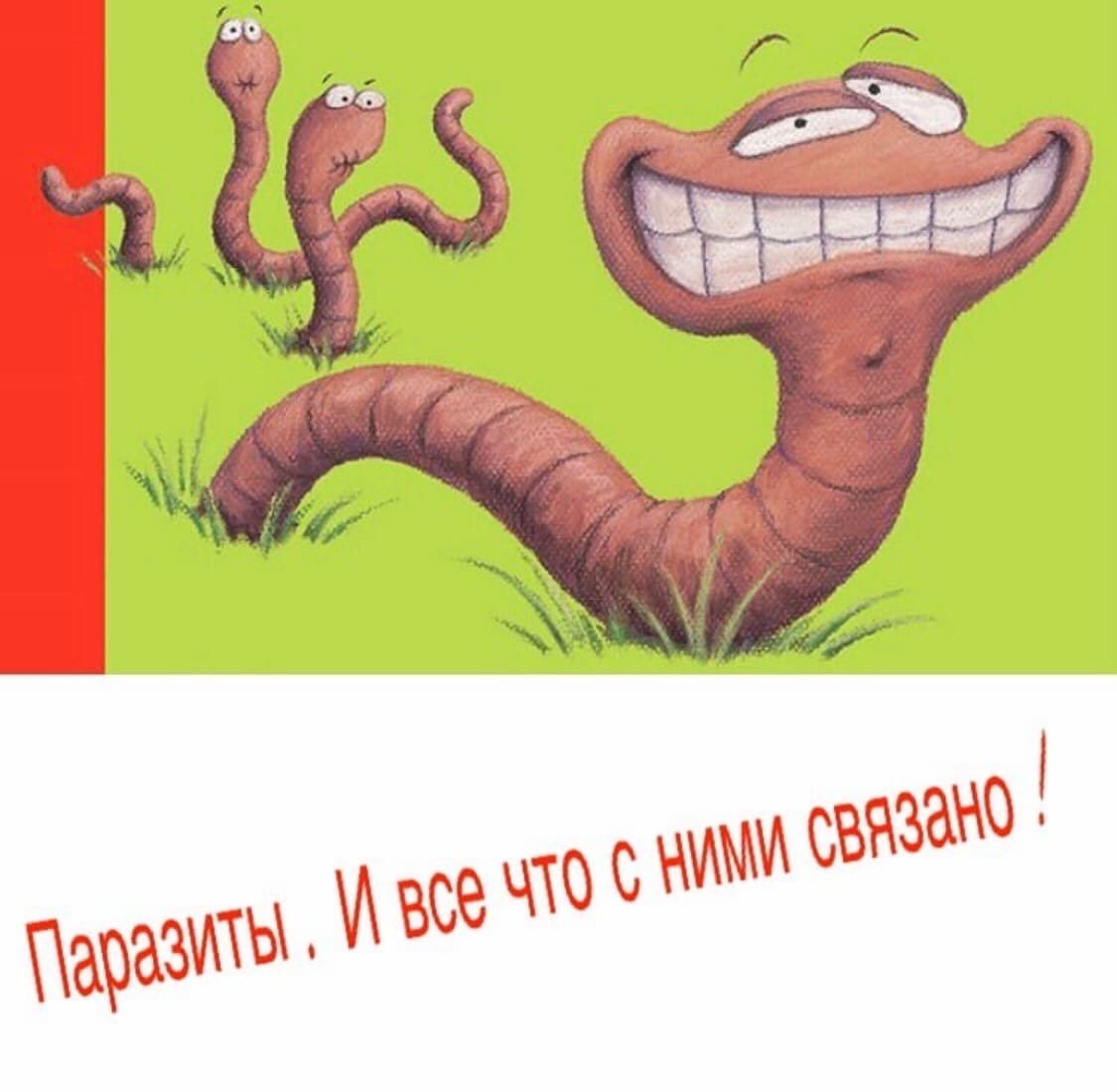 Фото с Интернет