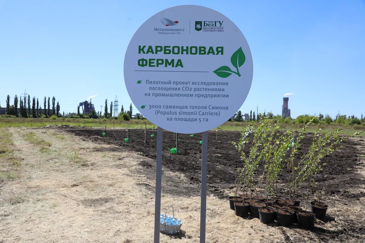 Фото Александра Белашова / «Медиацентр»