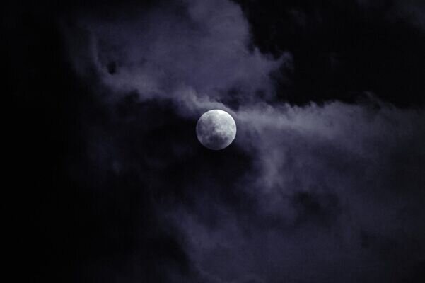 © photo: Sputnik/Stringer