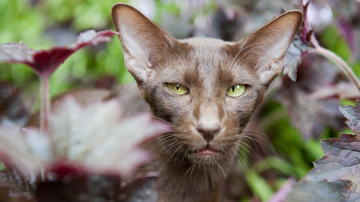    Ivonne Wierink / Shutterstock / FOTODOM