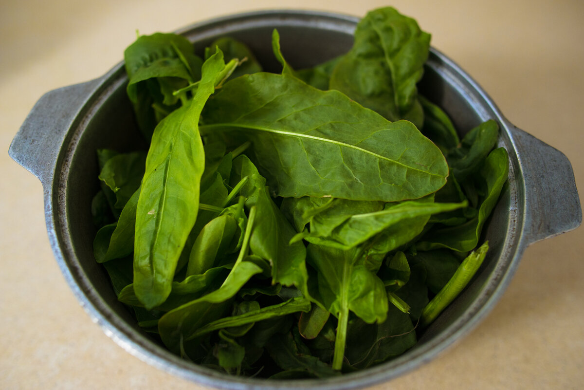 Собранный щавель