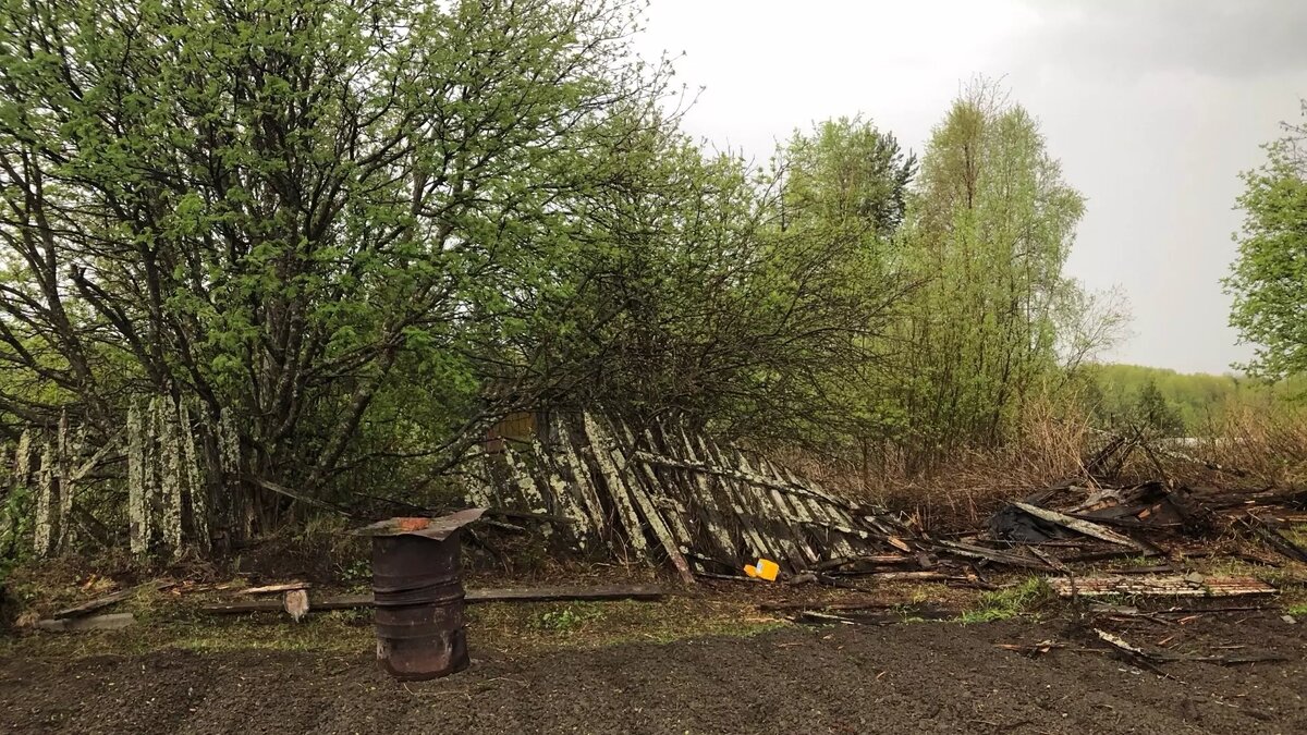     Источник: Дмитрий Петров / vk