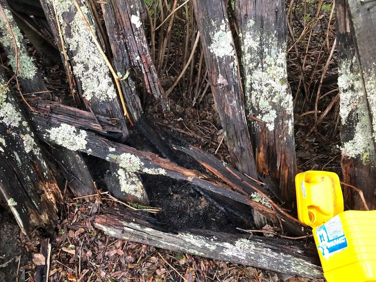     Источник: Дмитрий Петров / vk