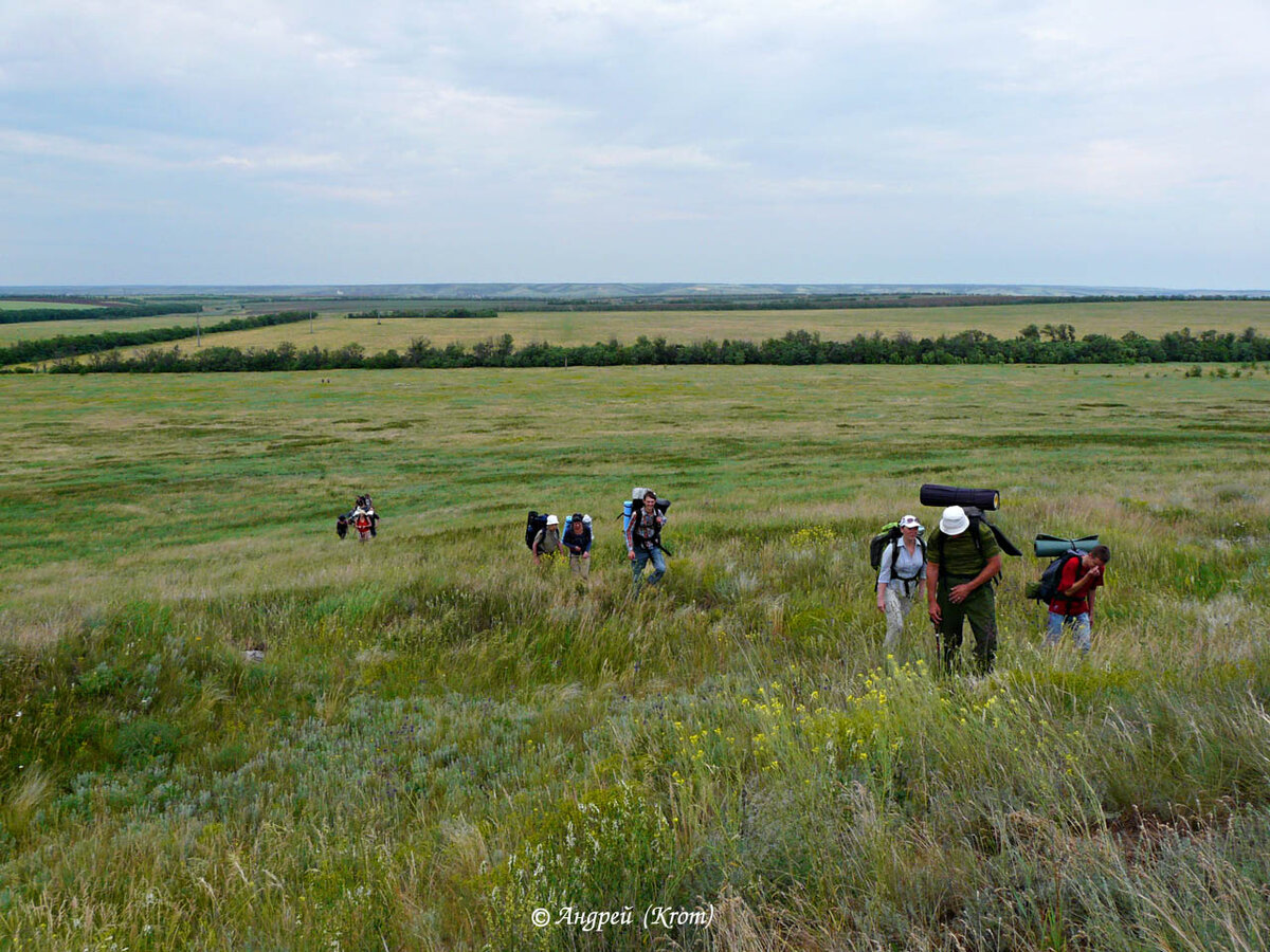Шагаем по лугам Ростовской области
