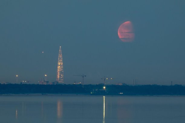 Фото: Кот-Пломбир Завидовский, https://vk.cc/cxfavT