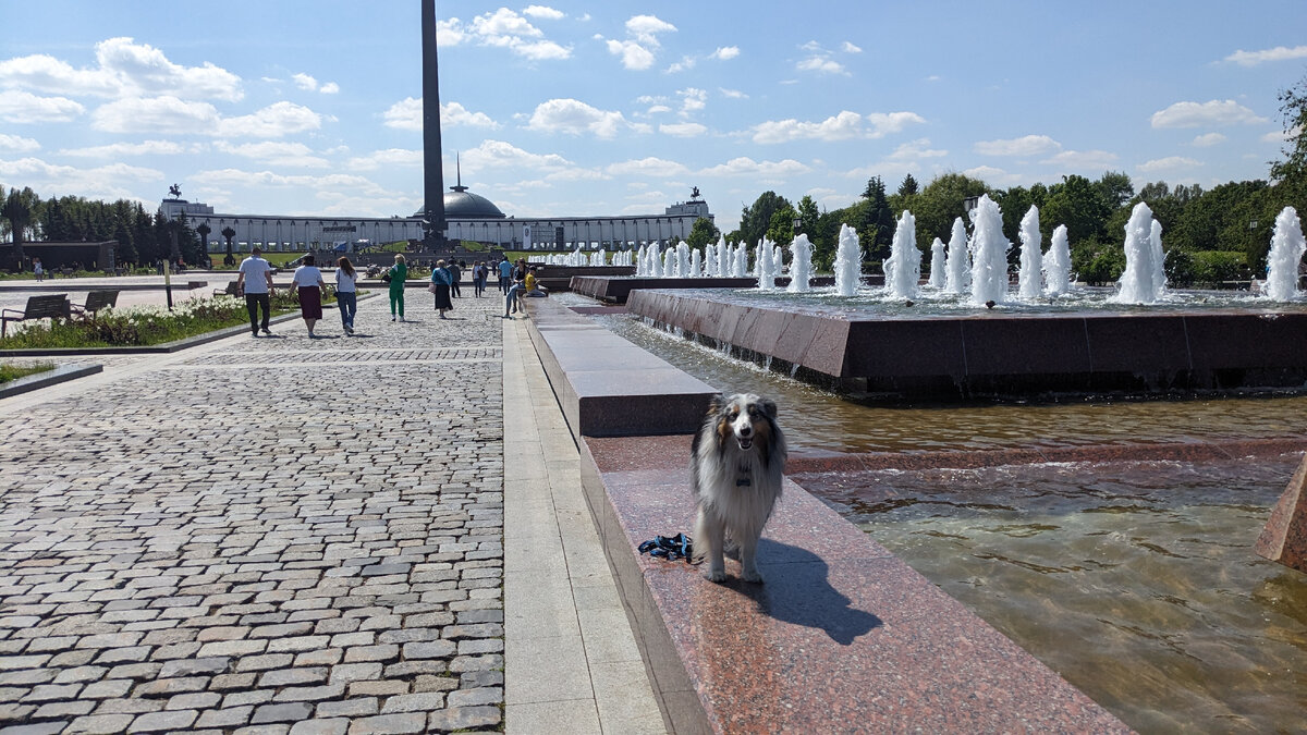 Москва, парк победы 